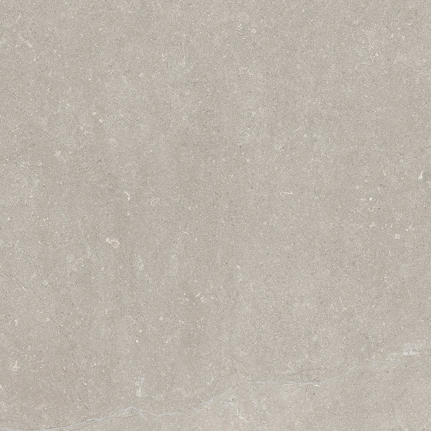 Dorset Grey