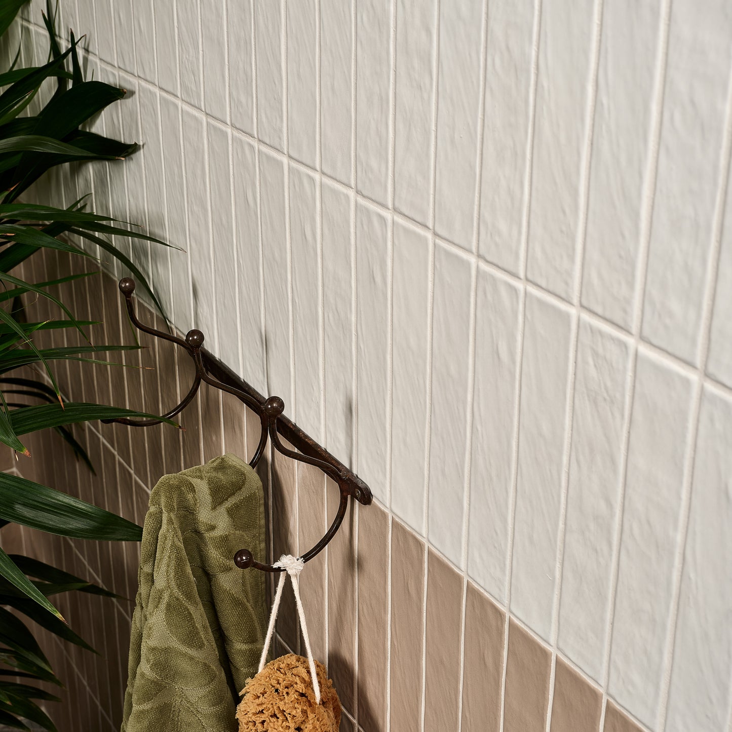 Earthenware Porcelain - Plaster