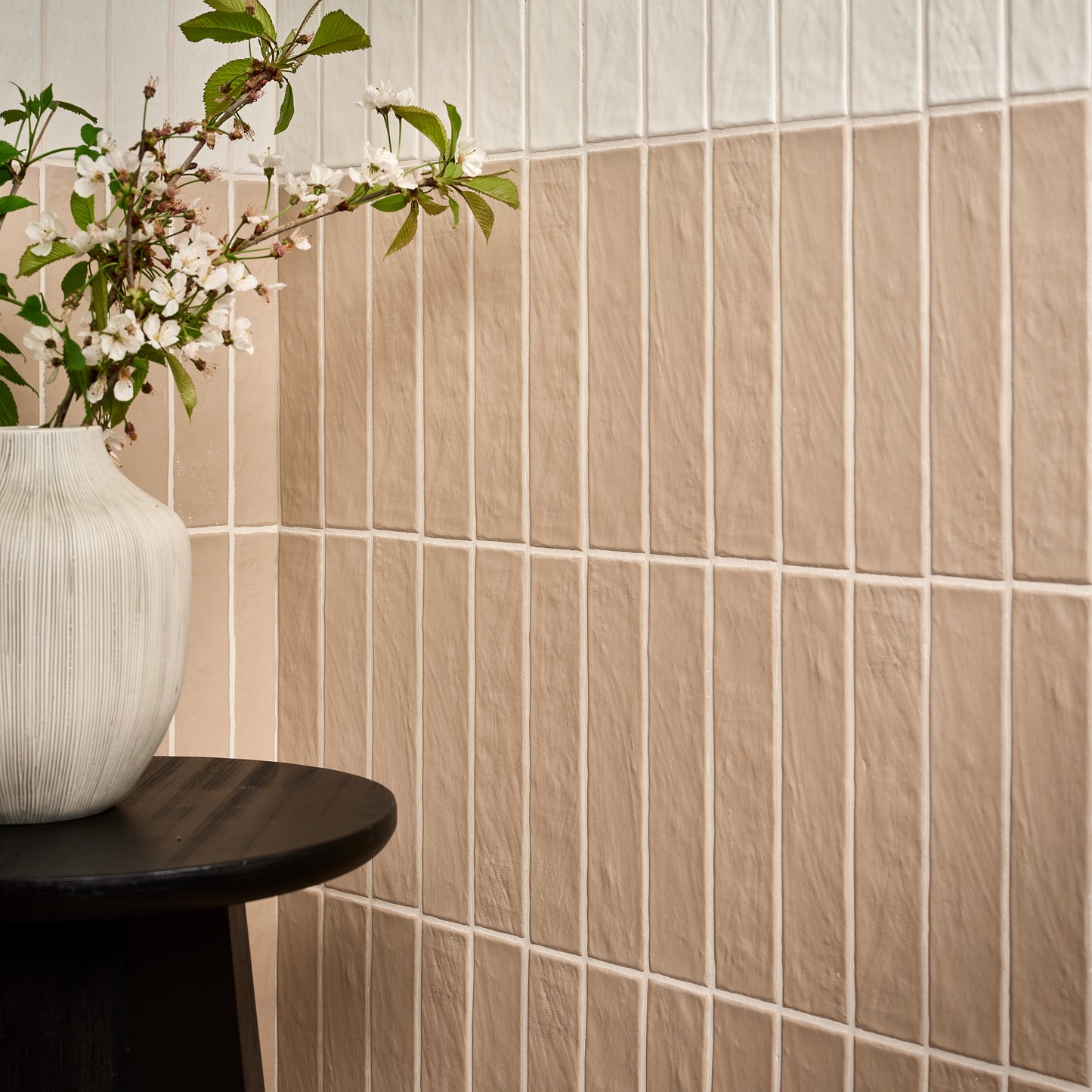 Earthenware Porcelain - Plaster