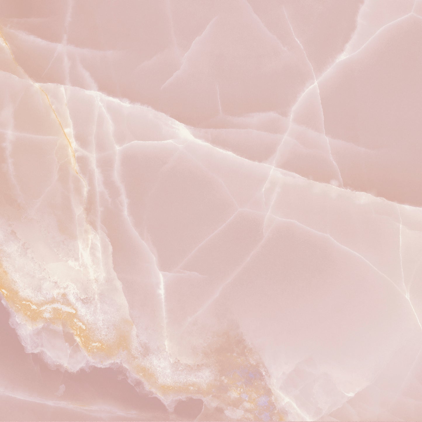 Hollywood Porcelain - Rose