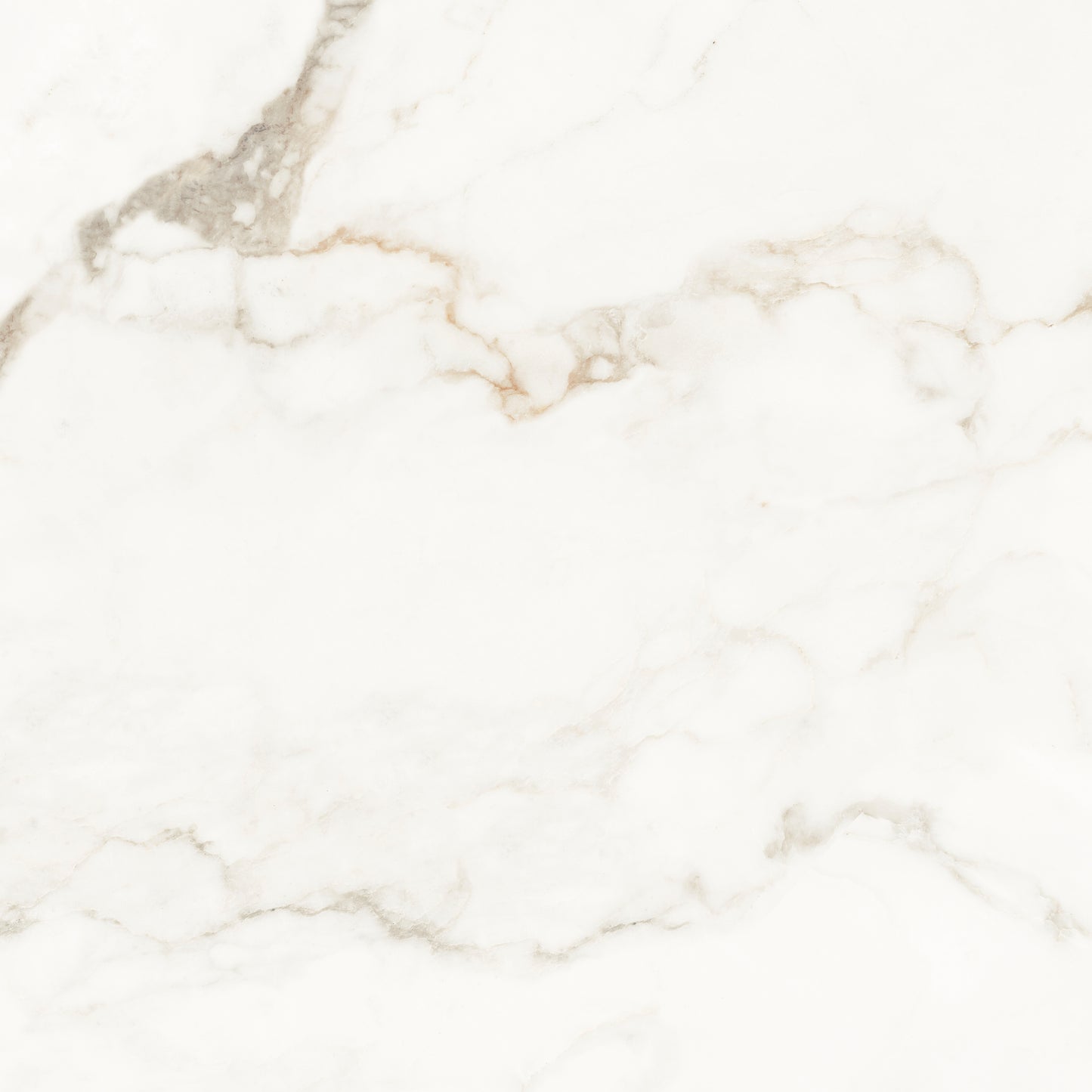 Muscat Porcelain