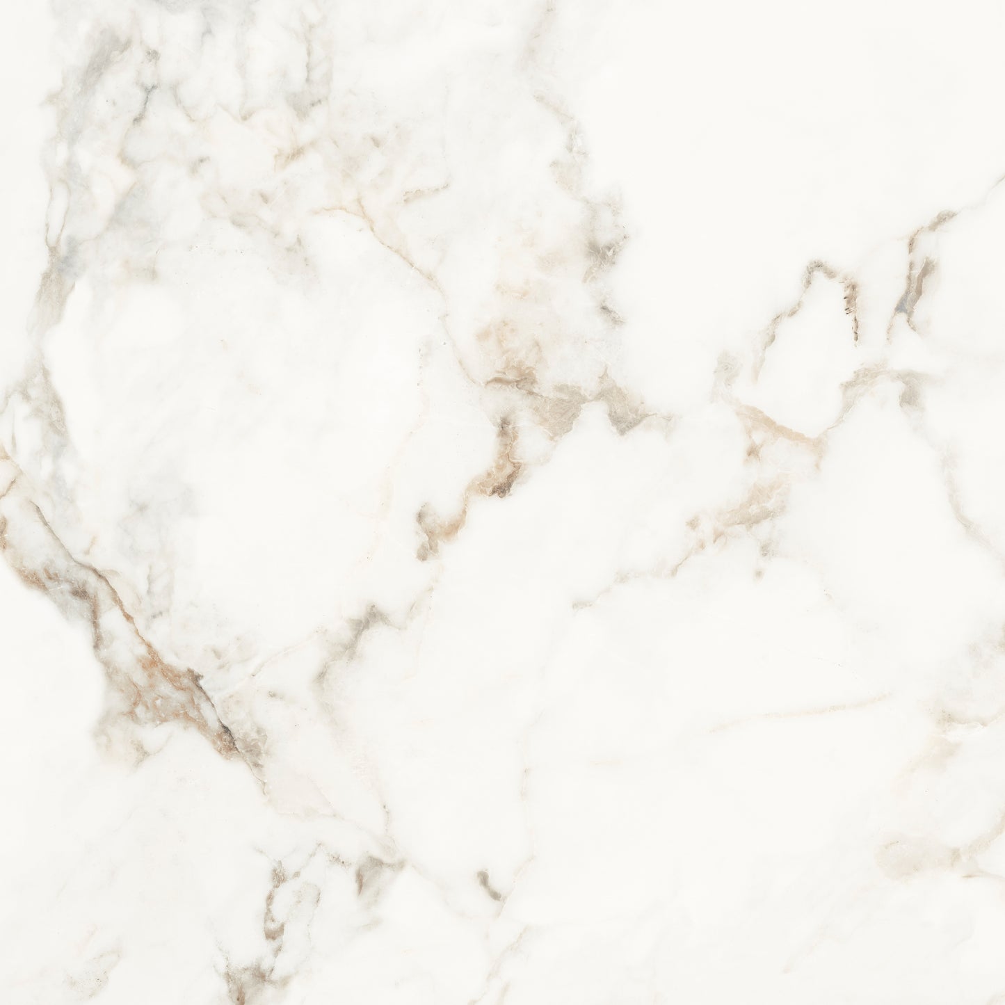 Muscat Porcelain