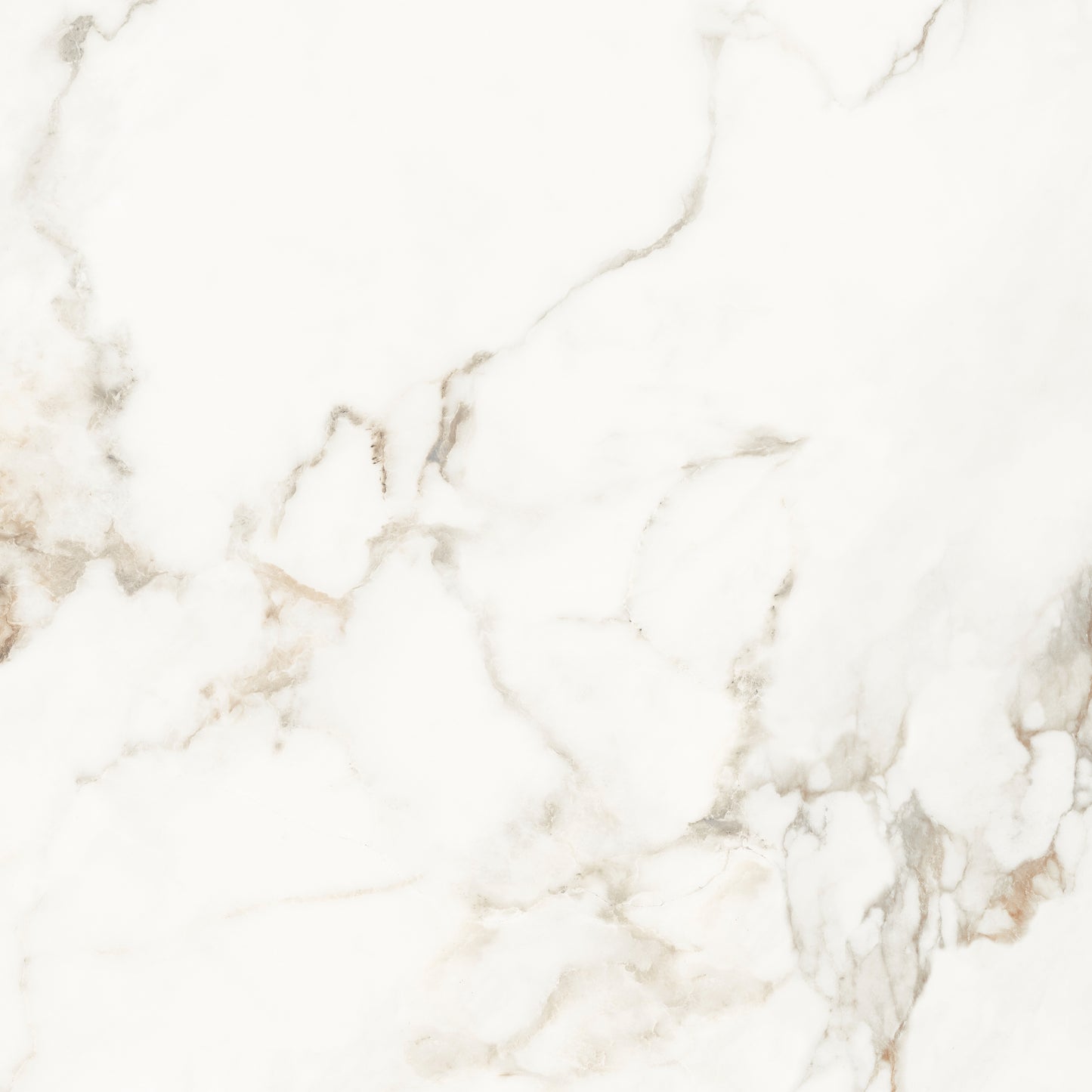 Muscat Porcelain