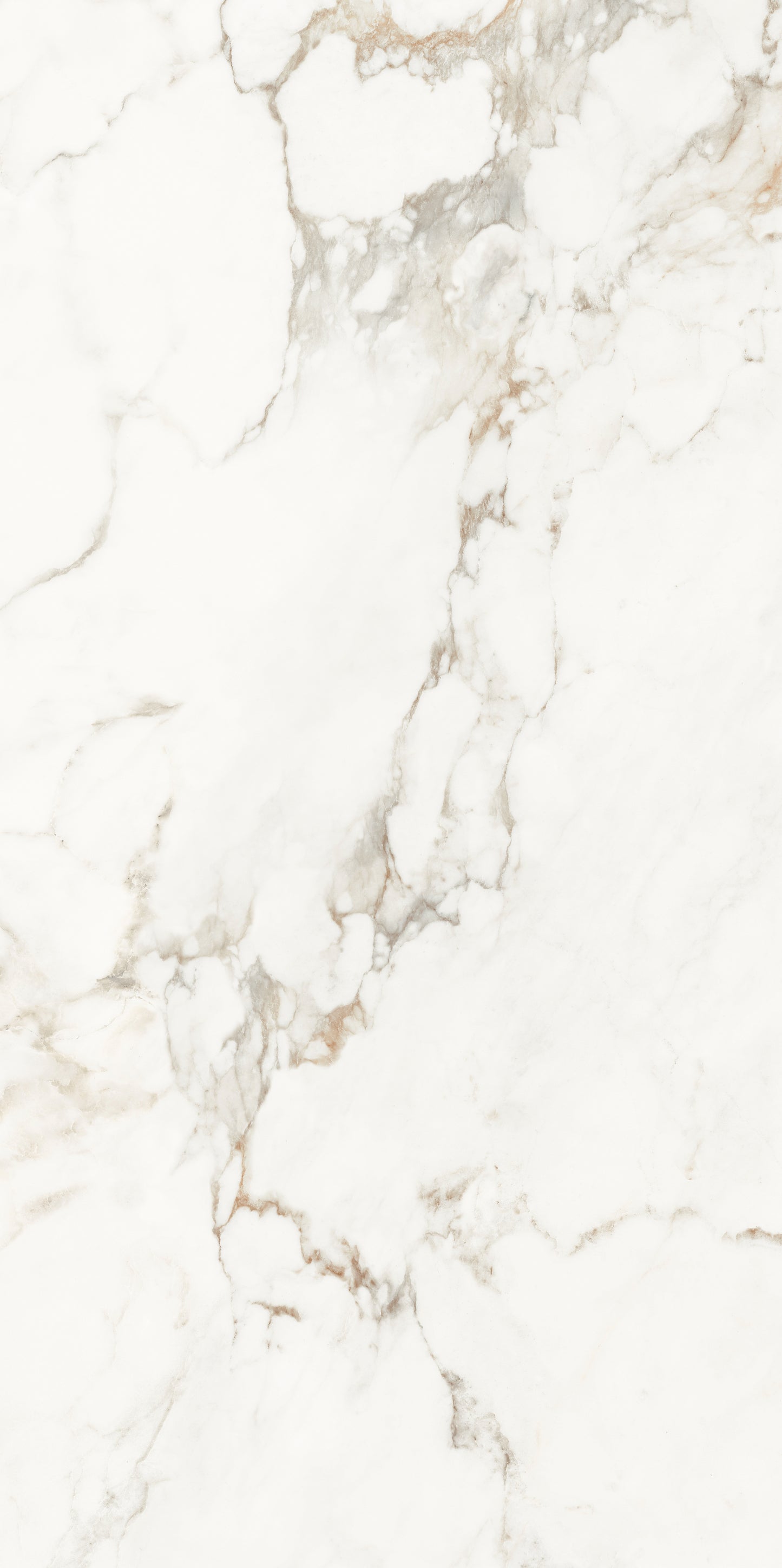 Muscat Porcelain