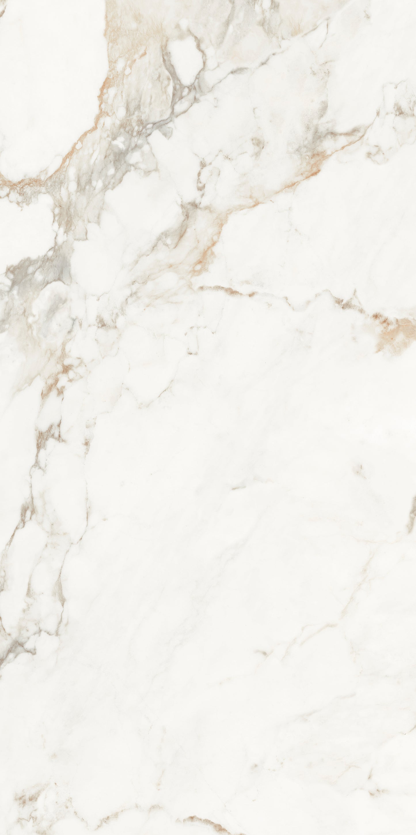 Muscat Porcelain