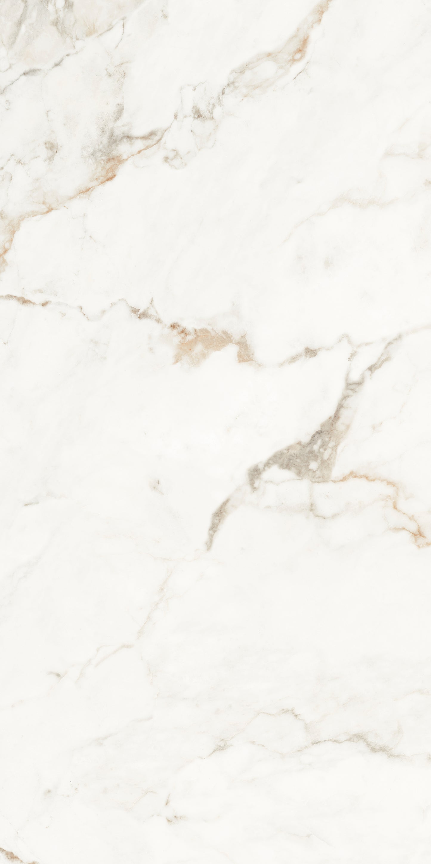 Muscat Porcelain