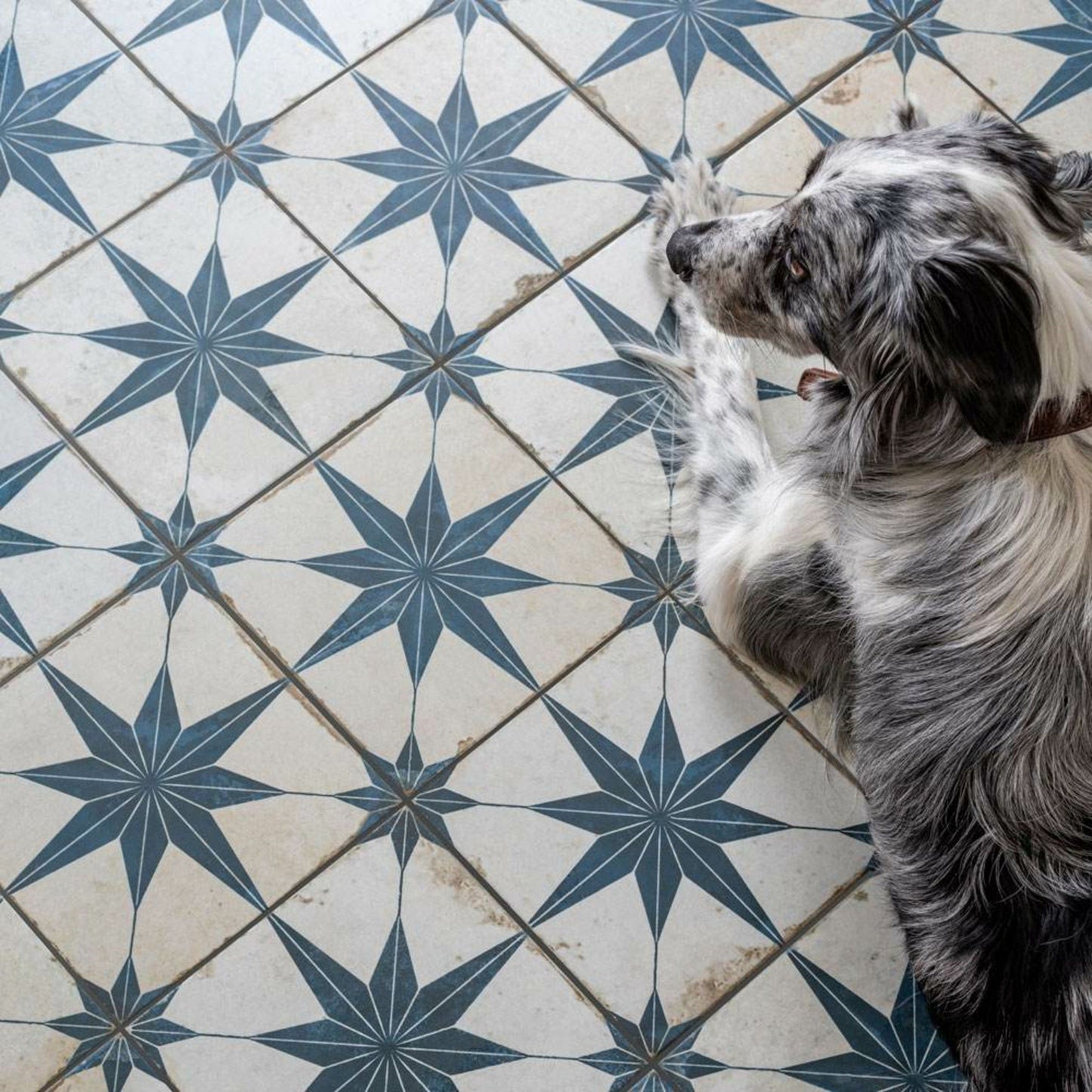 Vintage Moroccan Star Blue