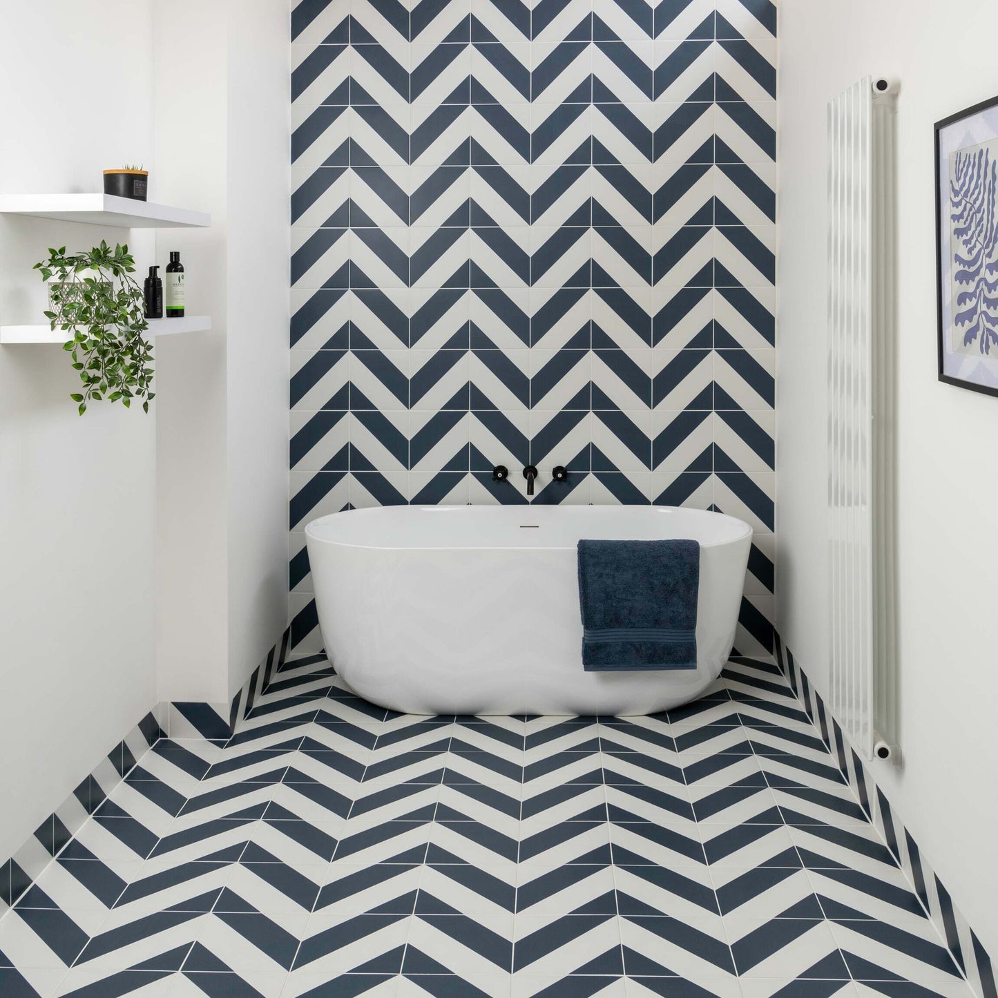 Zebra White & Blue