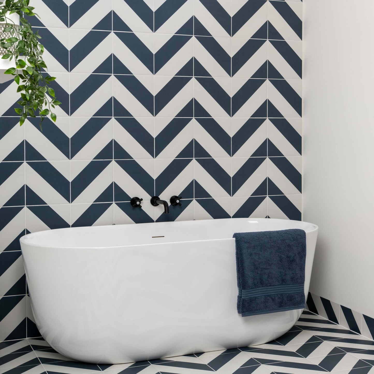 Zebra White & Blue