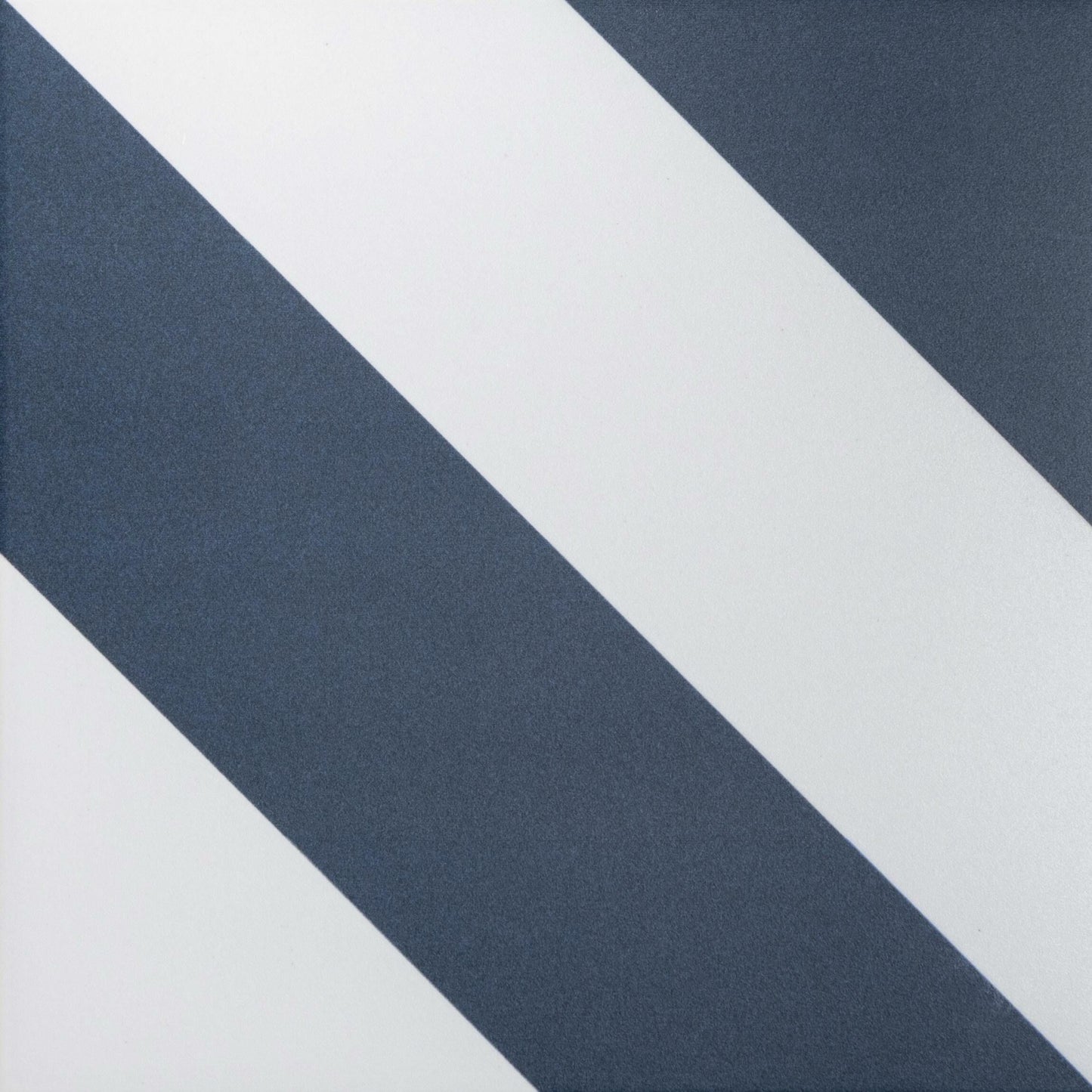 Zebra White & Blue