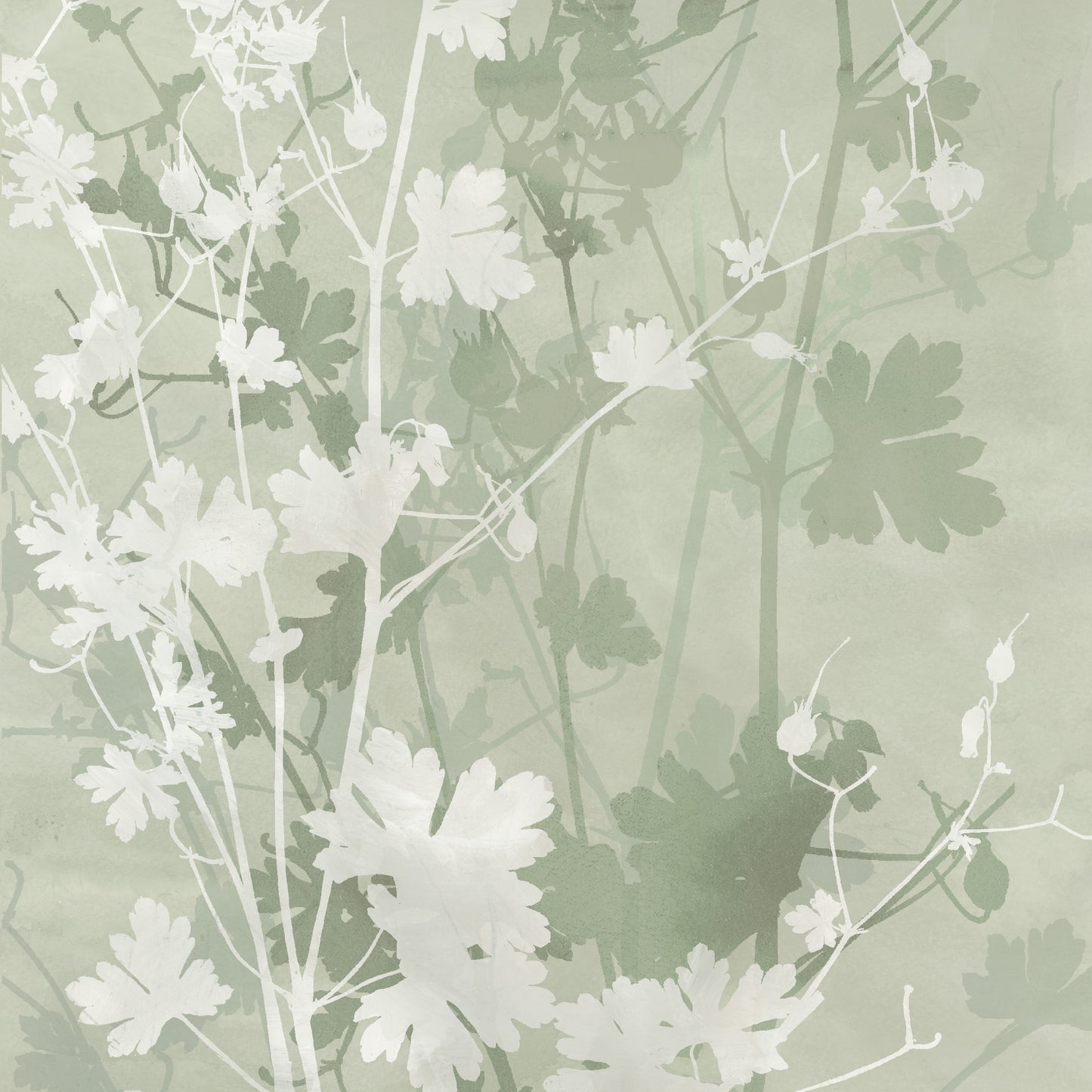 Wild Botanicals - Green