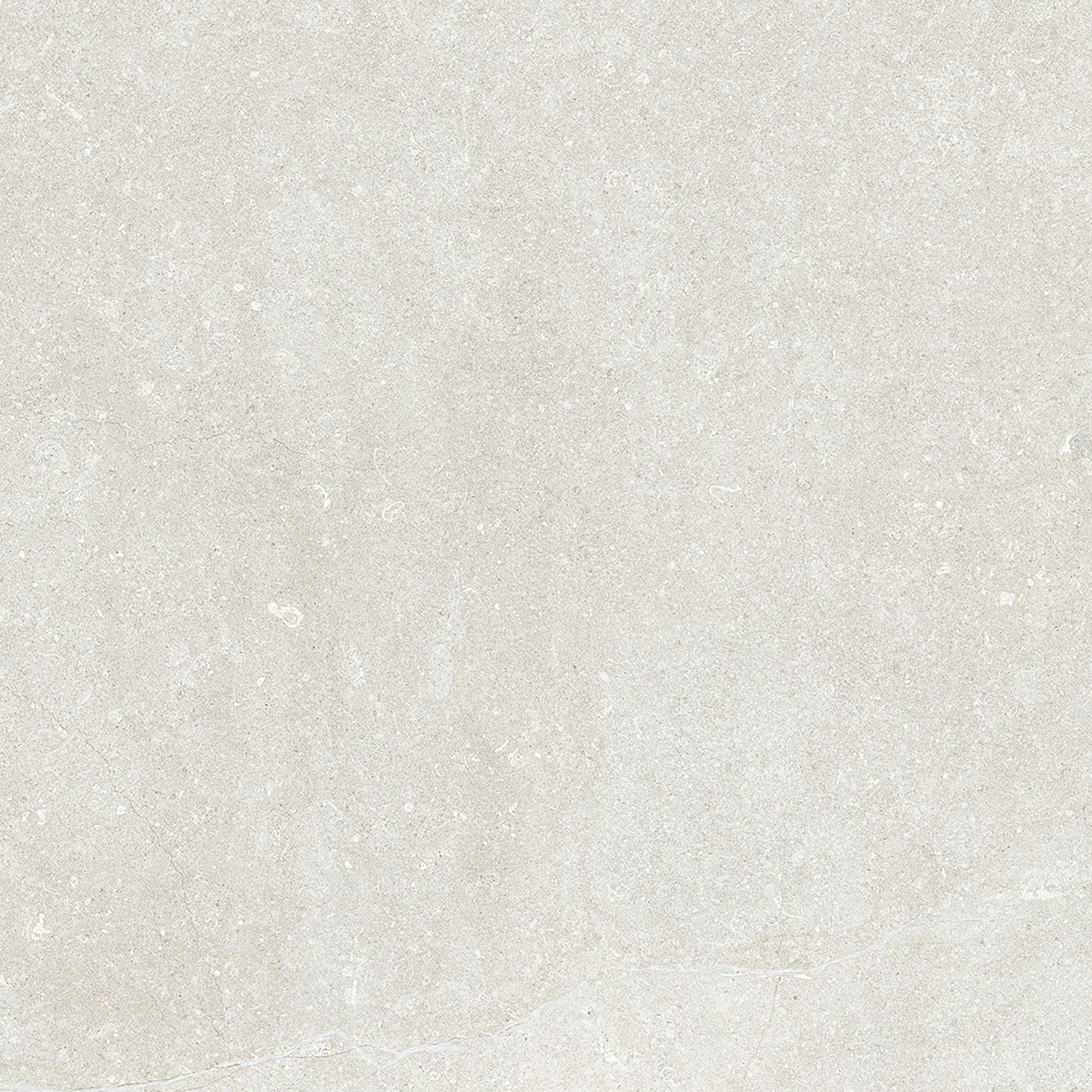 Dorset White