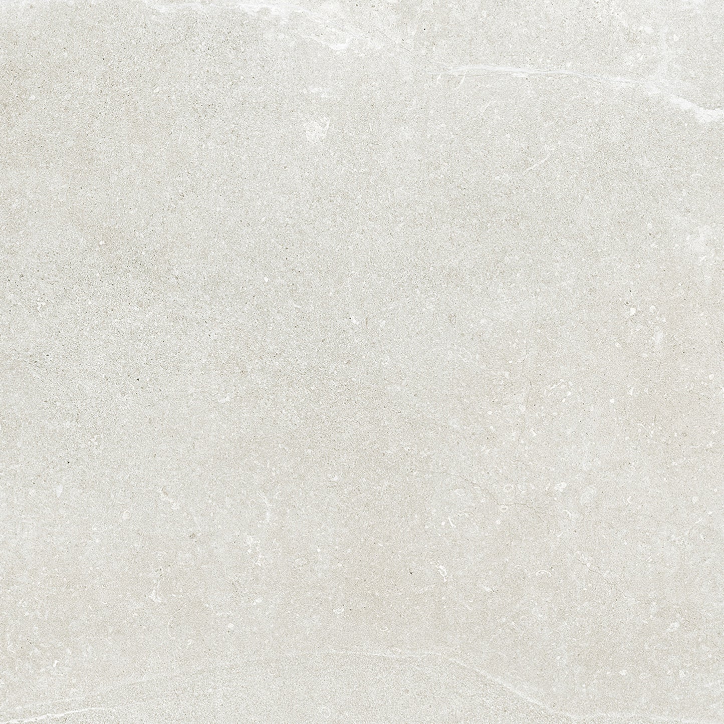 Dorset White