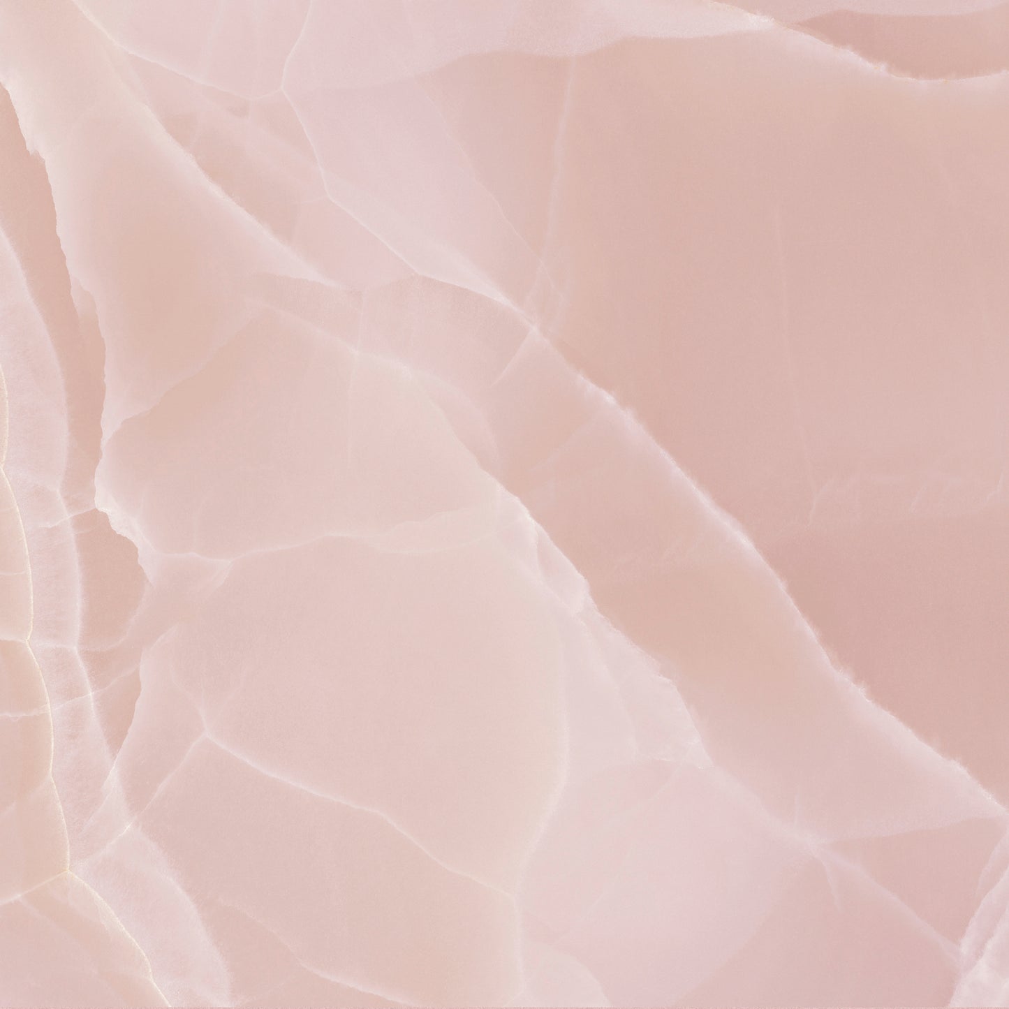 Hollywood Porcelain - Rose