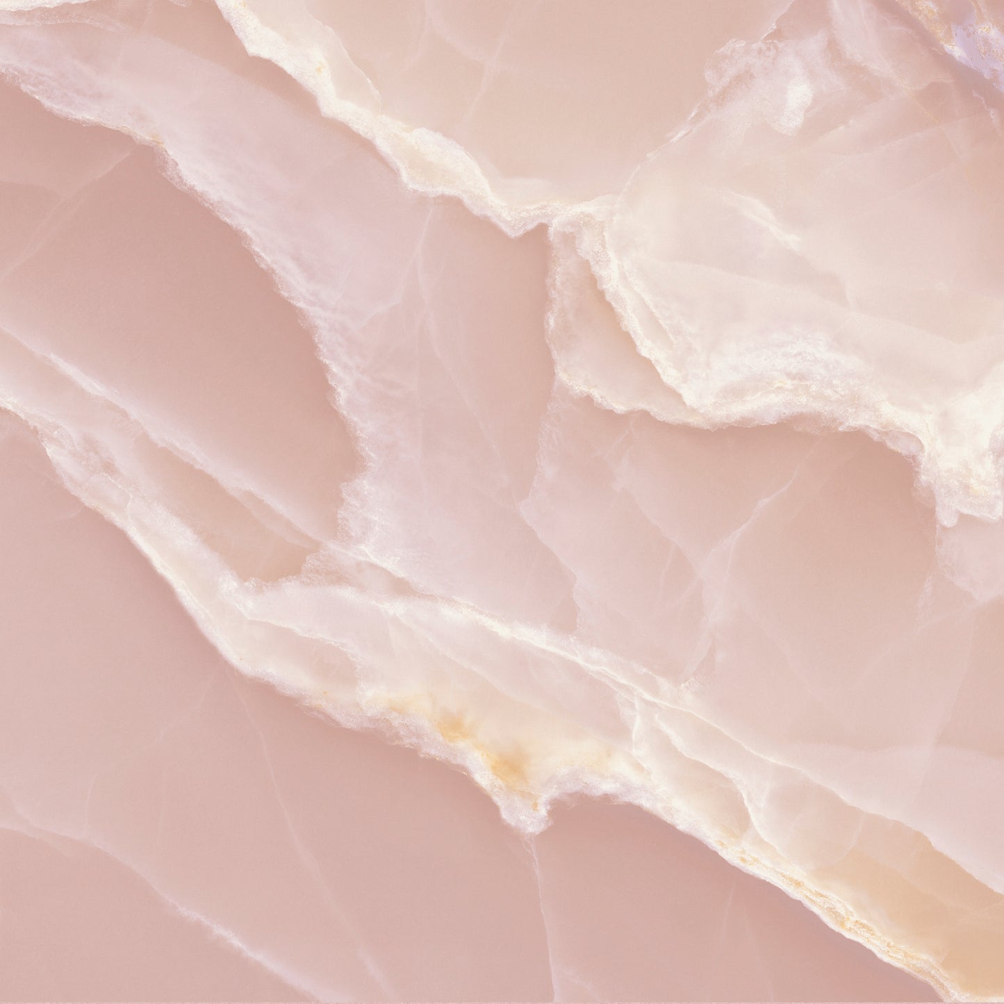 Hollywood Porcelain - Rose