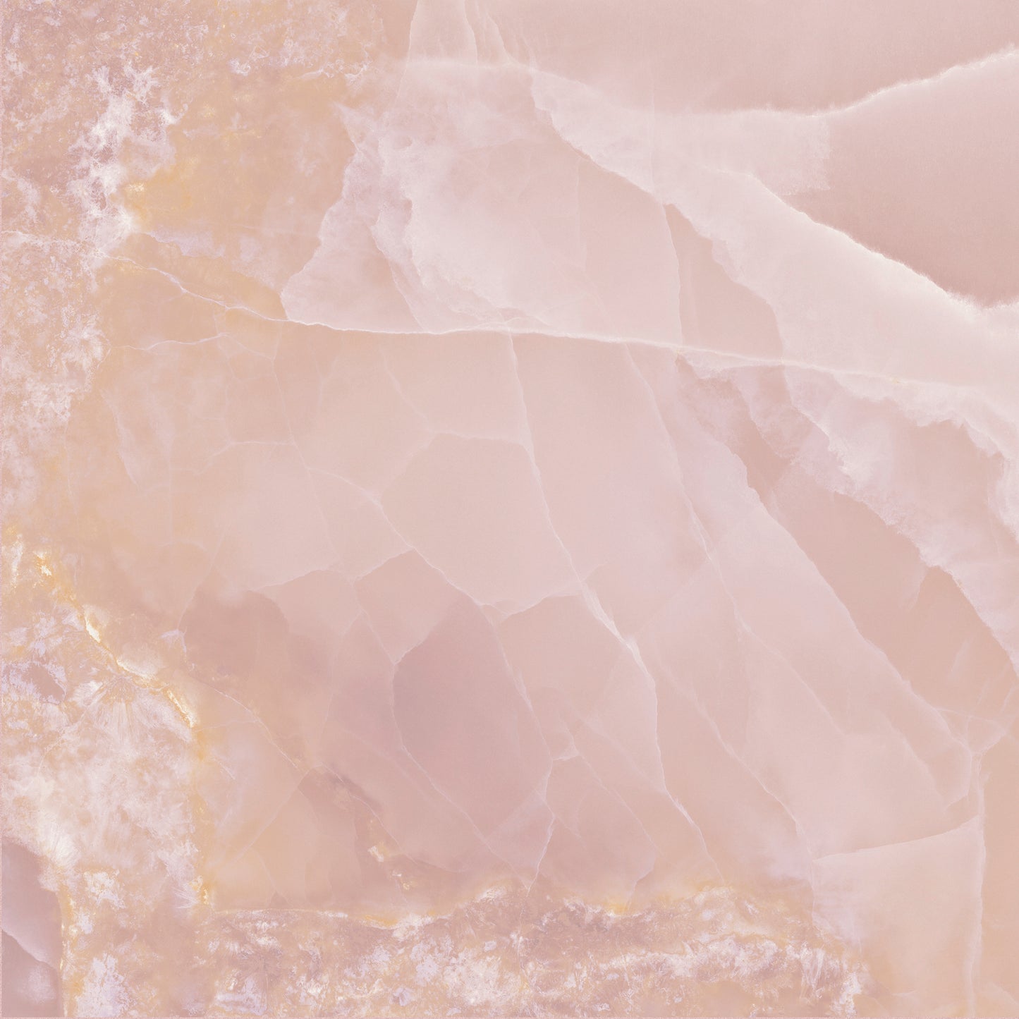 Hollywood Porcelain - Rose