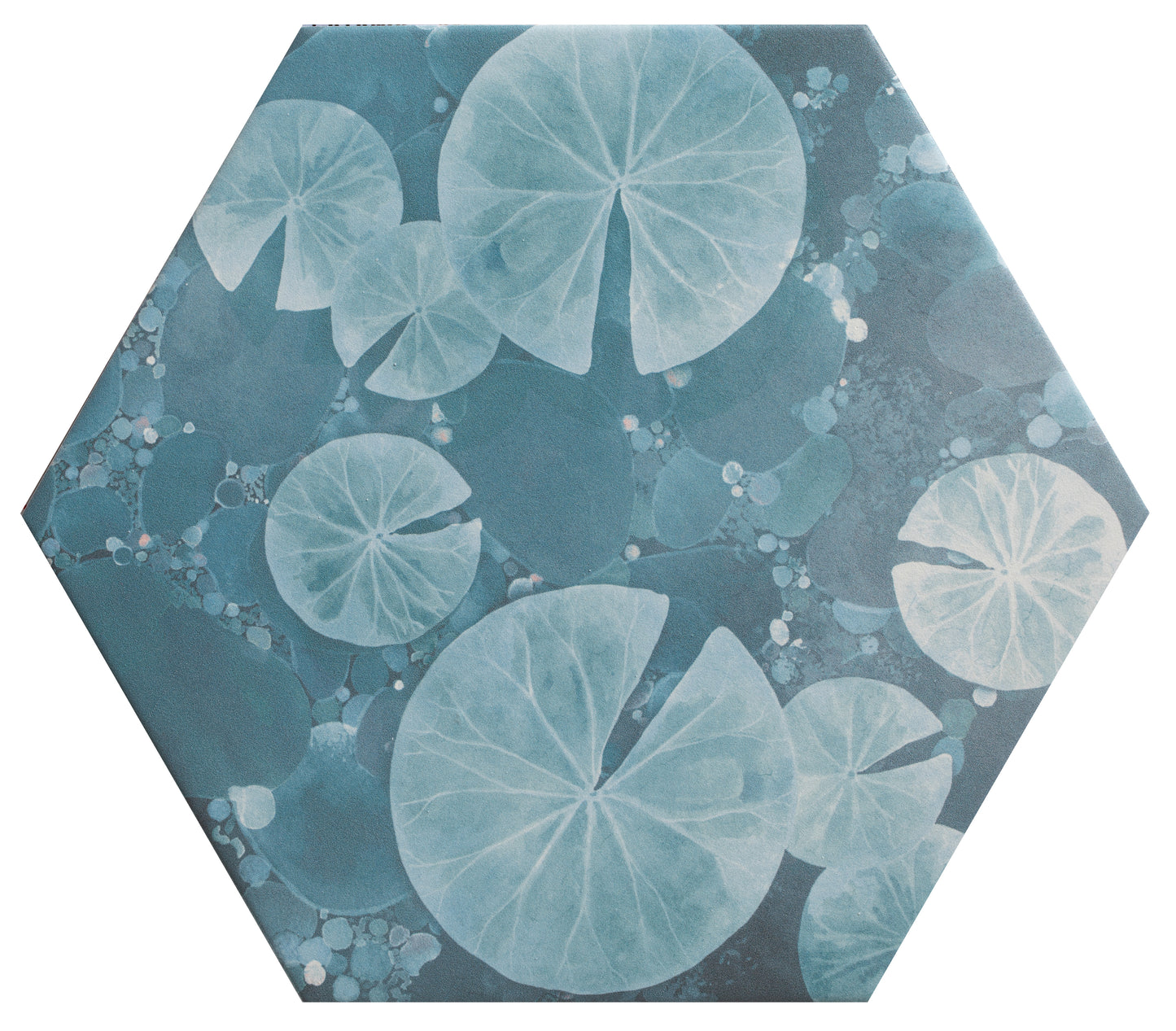 Kiyosumi Hexagon