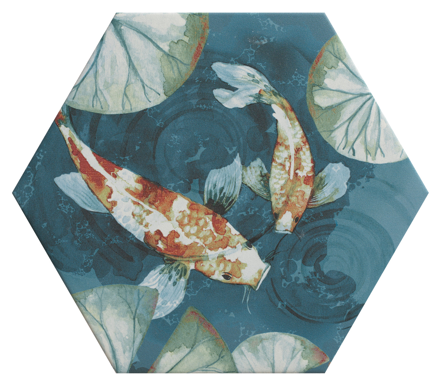Kiyosumi Hexagon