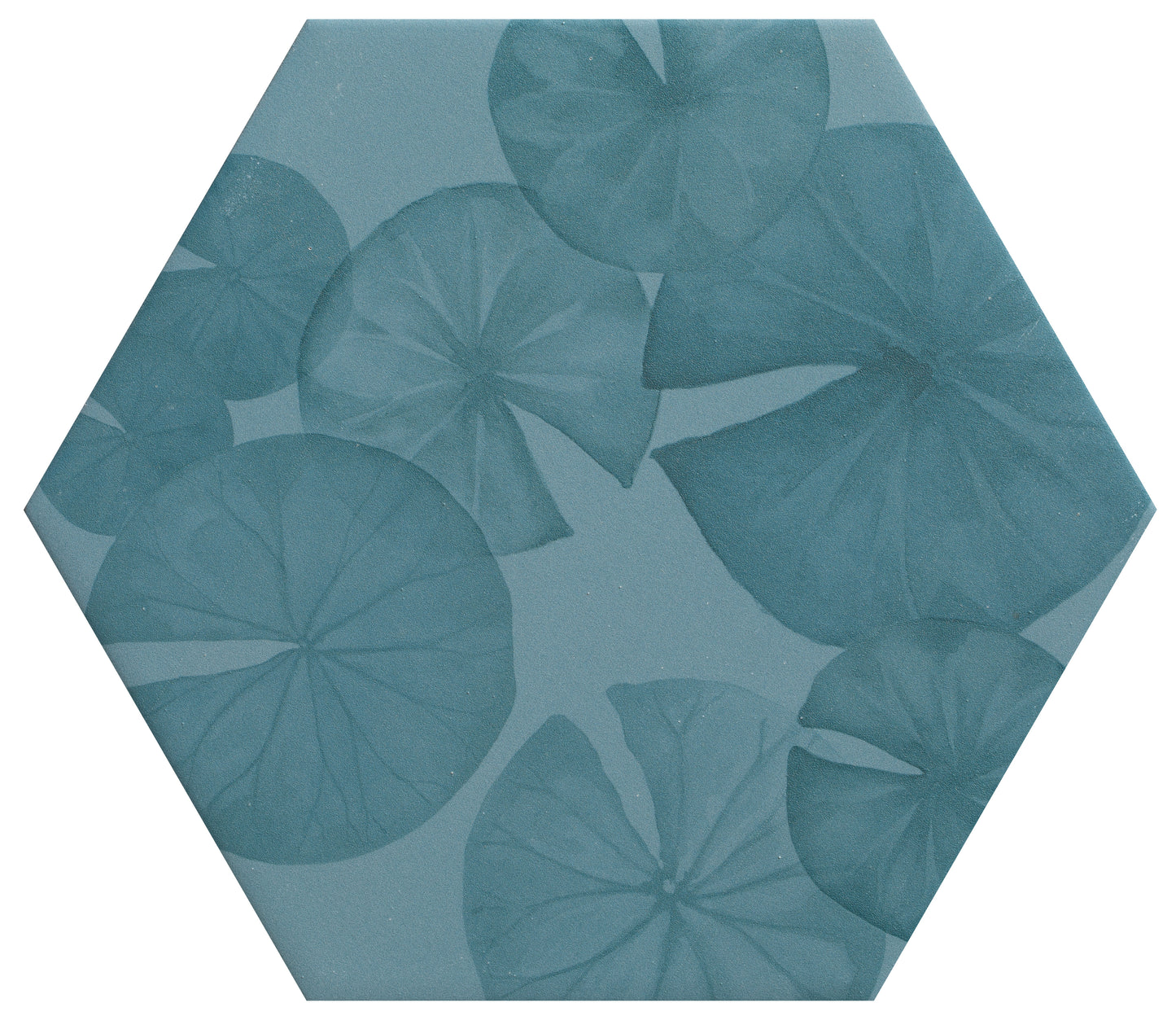 Kiyosumi Hexagon
