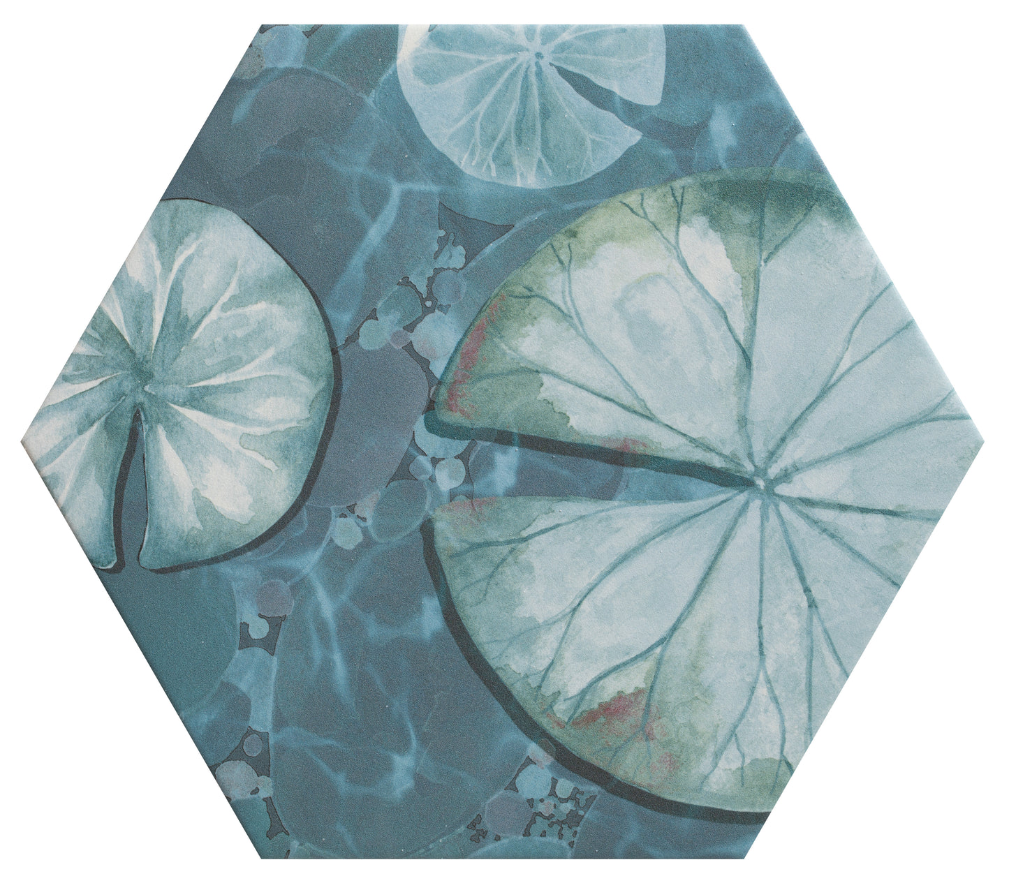 Kiyosumi Hexagon