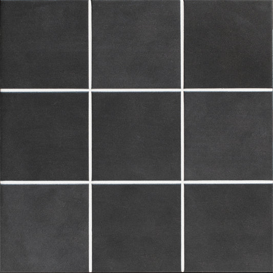 Victorian Style Anthracite Field