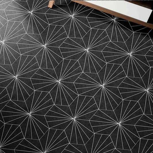 Aster Hexagon Black