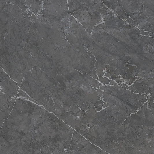 Belvedere Marengo - Polished Levi Gloss